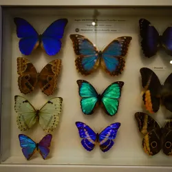 Joanneumsviertel - Graz