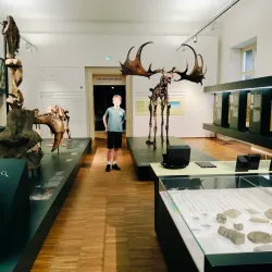 Joanneumsviertel - Graz