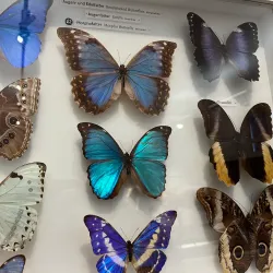 Joanneumsviertel - Graz