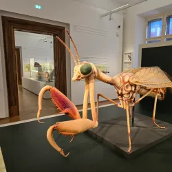 Joanneumsviertel - Graz