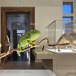 Joanneumsviertel - Graz