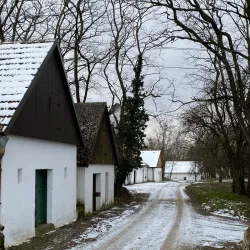 Kellergasse (Wine Cellar Lane) - Hollabrunn