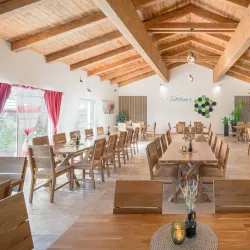 Weinviertel Vineyards - Hollabrunn