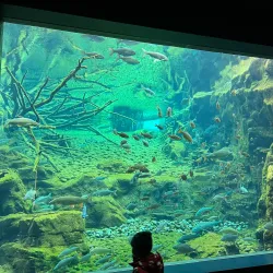 Alpine Zoo Innsbruck (Alpenzoo) - Innsbruck