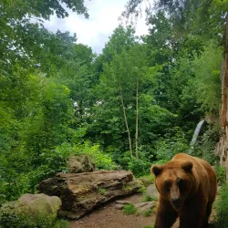 Alpine Zoo Innsbruck (Alpenzoo) - Innsbruck