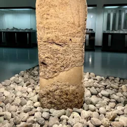 Tyrolean State Museum (Tiroler Landesmuseum Ferdinandeum) - Innsbruck