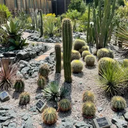 Botanical Garden Klagenfurt - Klagenfurt