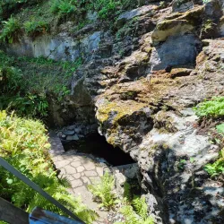 Botanical Garden Klagenfurt - Klagenfurt