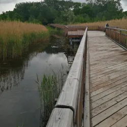 Donau-Auen National Park - Klosterneuburg
