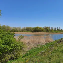 Donau-Auen National Park - Klosterneuburg