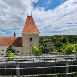 Donau-Auen National Park - Klosterneuburg