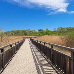 Donau-Auen National Park - Klosterneuburg