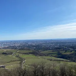 Kahlenberg - Klosterneuburg