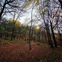 Kahlenberg - Klosterneuburg