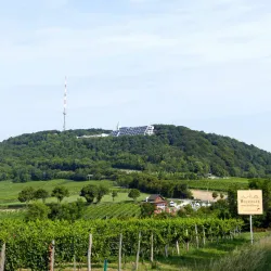 Kahlenberg - Klosterneuburg