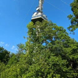 Kahlenberg - Klosterneuburg