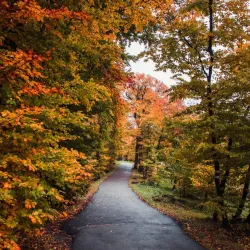 Kahlenberg - Klosterneuburg