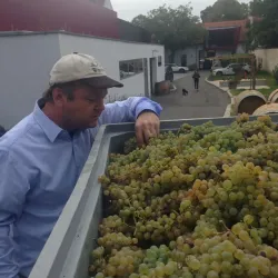 Weingut Wieninger - Klosterneuburg