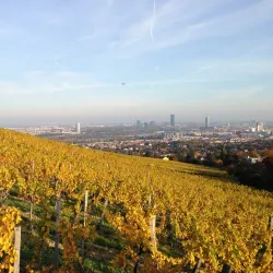 Weingut Wieninger - Klosterneuburg