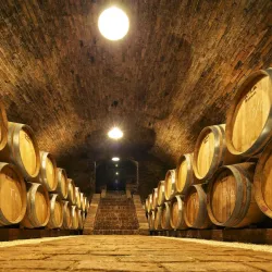 Weingut Wieninger - Klosterneuburg