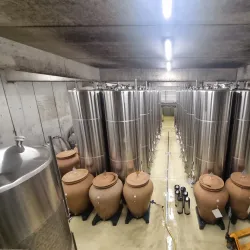 Weingut Wieninger - Klosterneuburg