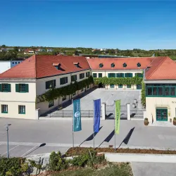 Stein Vineyard Trail - Krems