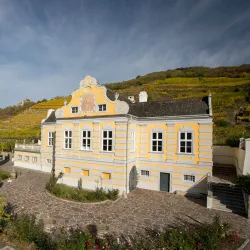 Wachau Valley Vineyards - Krems