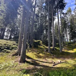 Kaunergrat Nature Park - Landeck