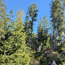 Kaunergrat Nature Park - Landeck