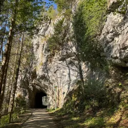 Burg Gallenstein - Leoben