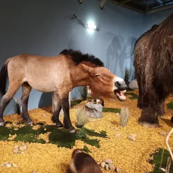 Kunsthalle Leoben - Leoben