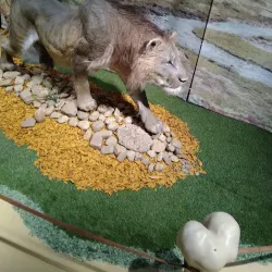 Kunsthalle Leoben - Leoben