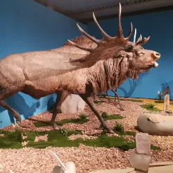 Kunsthalle Leoben - Leoben