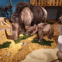 Kunsthalle Leoben - Leoben