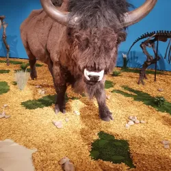 Kunsthalle Leoben - Leoben