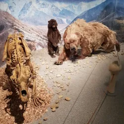 Kunsthalle Leoben - Leoben