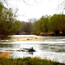 Mur River Walk - Leoben