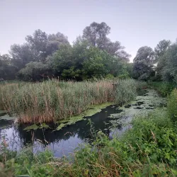Mur River Walk - Leoben