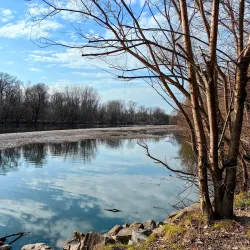 Mur River Walk - Leoben