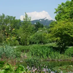 Botanical Garden Linz - Leonding