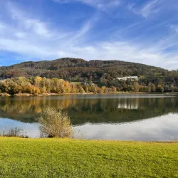 Pleschinger See - Leonding