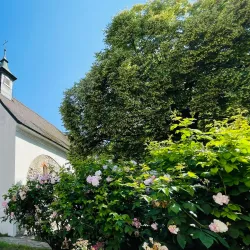 St. Martin's Church - Leonding