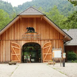 Wildpark Gröbming - Liezen