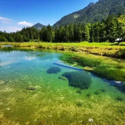 Wildpark Gröbming - Liezen