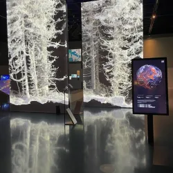 Ars Electronica Center - Linz