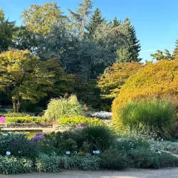 Botanical Garden Linz - Linz