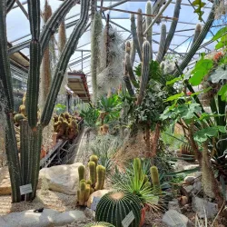 Botanical Garden Linz - Linz