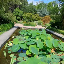 Botanical Garden Linz - Linz