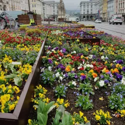 Hauptplatz (Main Square) - Linz