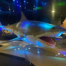 Museum of the History of Upper Austria - Linz